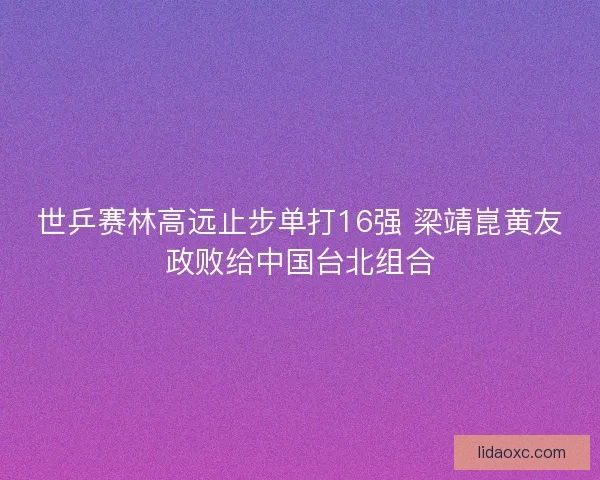 世乒赛林高远止步单打16强 梁靖崑黄友政败给中国台北组合