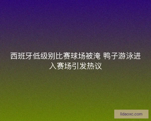 西班牙低级别比赛球场被淹 鸭子游泳进入赛场引发热议 西班牙低级别比赛球场被淹 鸭子游泳进入赛场引发热议