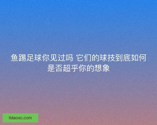 鱼踢足球你见过吗 它们的球技到底如何是否超乎你的想象 鱼踢足球你见过吗 它们的球技到底如何是否超乎你的想象